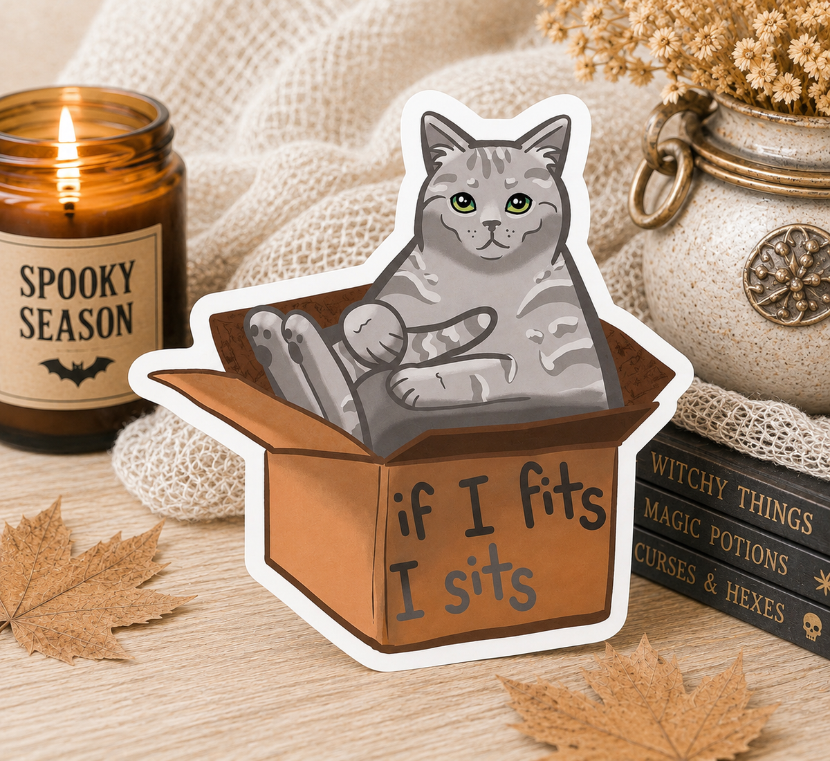 If I Fits I Sits Cat Sticker | Funny Cat Vinyl Decal