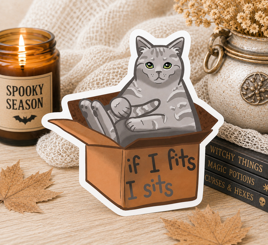 If I Fits I Sits Cat Sticker | Funny Cat Vinyl Decal